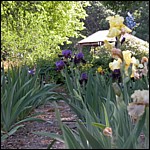 DSCN0077.JPG